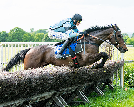 Race 6 - Open Maiden (197 of 346)