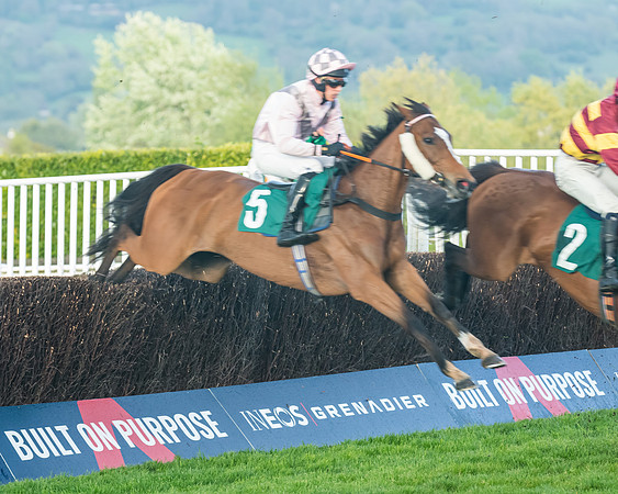 Race 5 - Mares Open  (104 of 329)