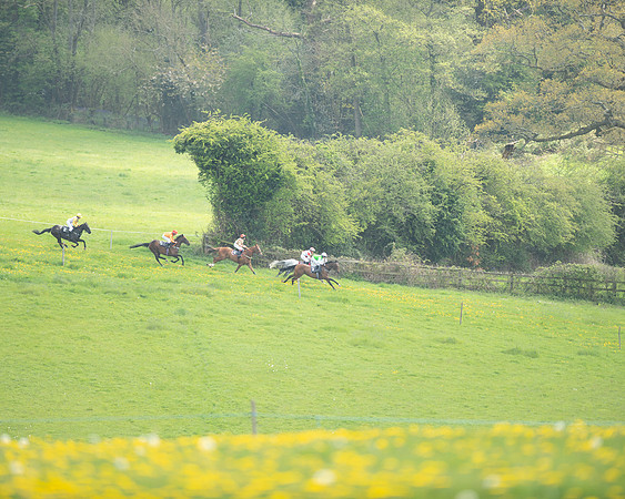Ponies and Side saddle (35 of 69)