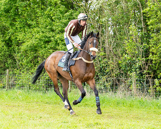 Race 2 - 2M4F Conditions (32 of 195)