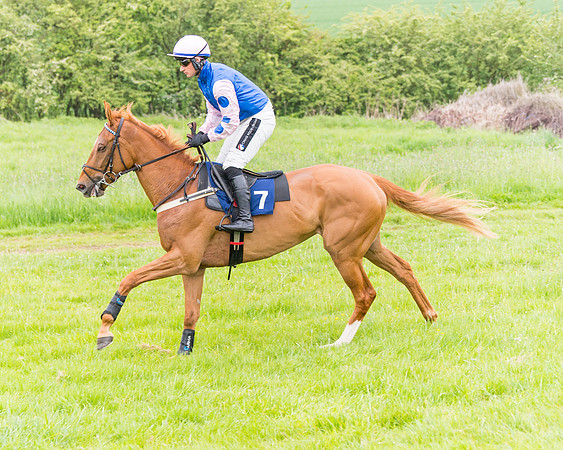 Race 6 - Maiden (15 of 129)