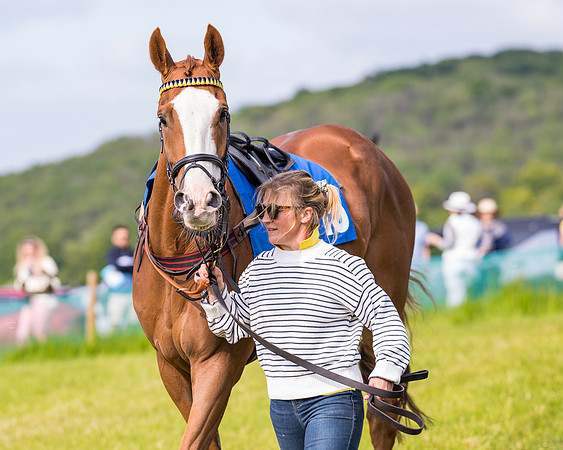 Race 6 - Open Maiden (9 of 346)