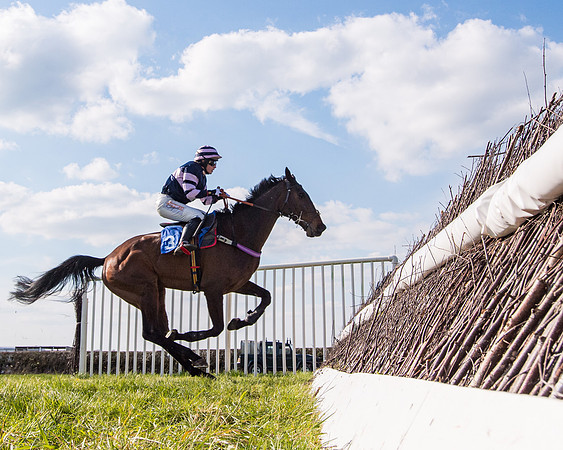 Race 5 - The Waverton Investment Management Ltd Restricted Race farmers and subscribers Race  (113 of 161)