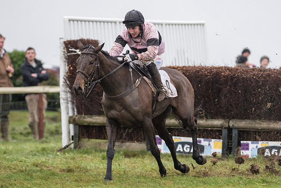 Race 5 - The Intermediate (52 of 59).jpg
