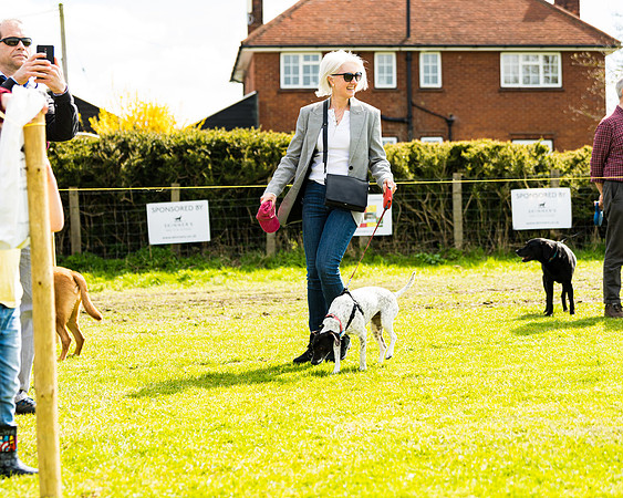 Dog show etc (90 of 157)