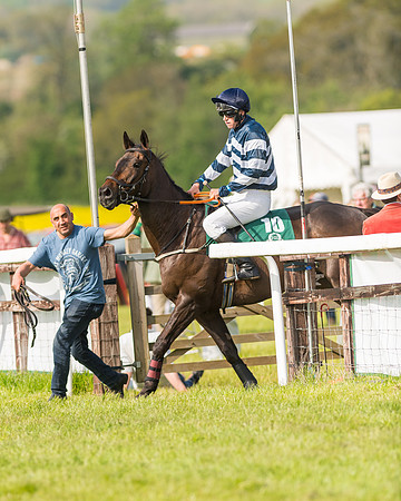 Race 5 - Restricted  (21 of 164)