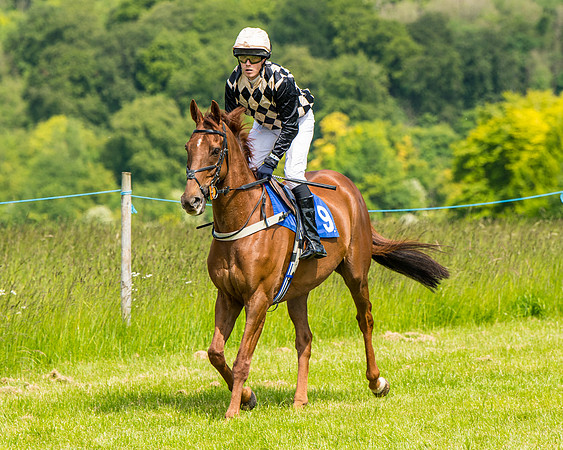 Race 2 - PPORA Novice Riders (173 of 444)