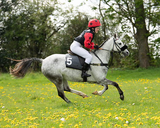 Ponies and Side saddle (26 of 69)