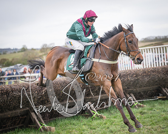 Race 6 - The Restricted Race (63 of 101)