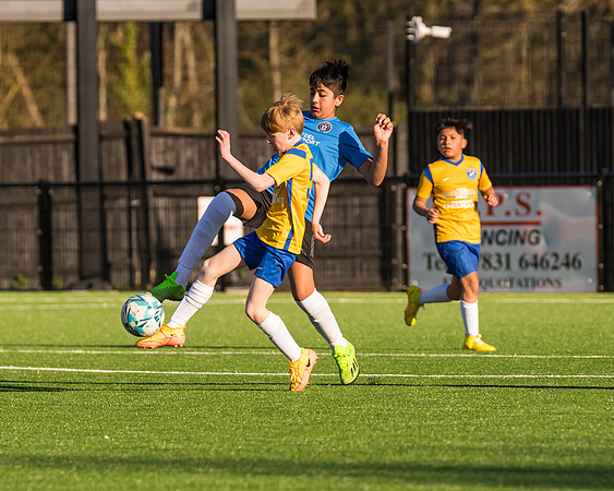 Under 12s --264