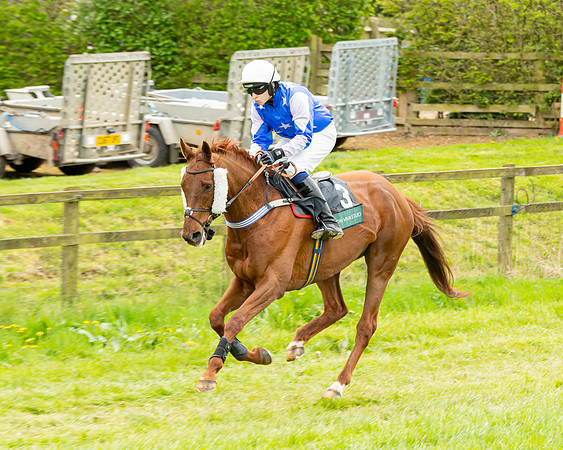 Race 2 - ROR and veteran Horse Conditions race (1 of 77)
