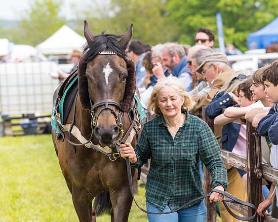 Race 2 - Owner-Trainer Conditions  (3 of 208)