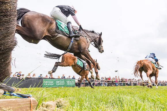 Race 2 - Owner-Trainer Conditions  (111 of 208)