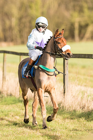 Pony Race 1  (13 of 34).jpg