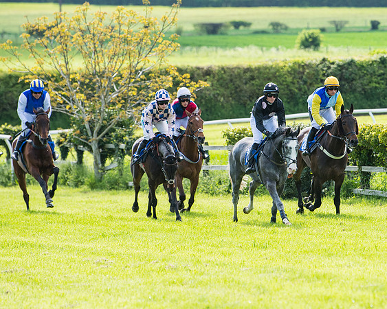 Race 5 - 2m5f Maiden (63 of 144)
