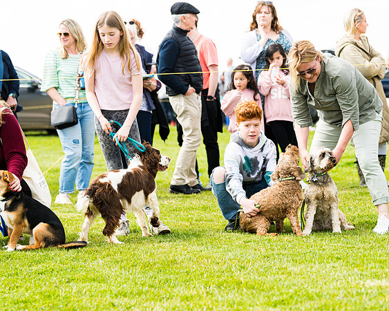 Dog show etc (45 of 157)