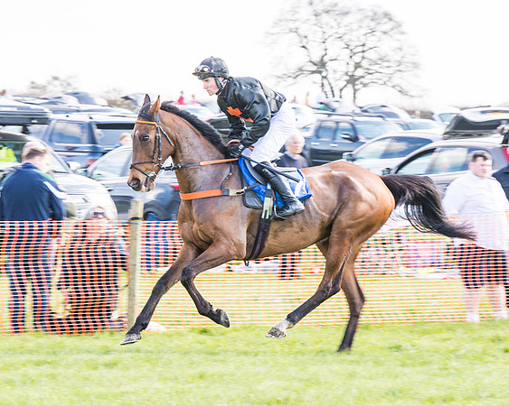 Race 4 - The Warehouse Reit Mixed Open Race  (7 of 124)