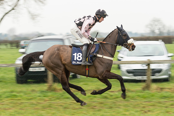 Race 5 - The Restricted Race (35 of 86).jpg