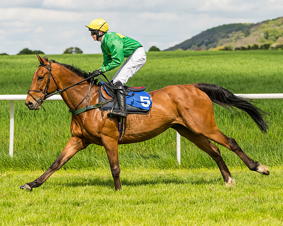 Race 2 - The Restricted Race  (52 of 122)