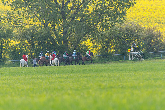 Race 5 - Restricted  (50 of 164)