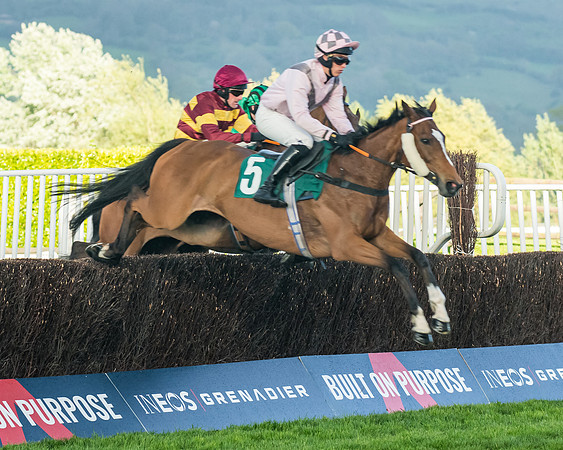 Race 5 - Mares Open  (84 of 329)