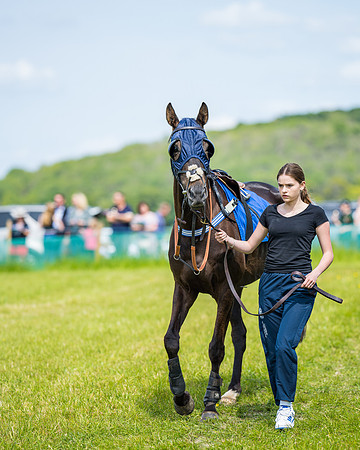 Race 2 - PPORA Novice Riders (58 of 444)