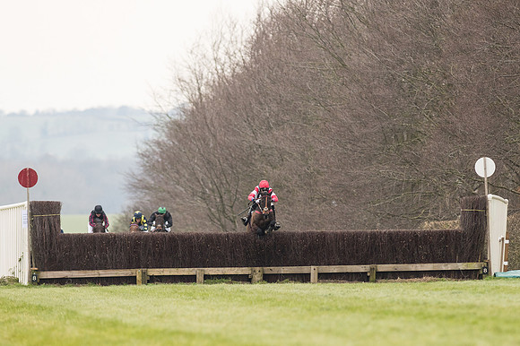 Race 2 - PPORA Novice riders  (122 of 186).jpg