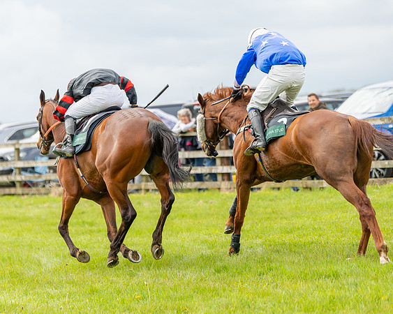 Race 2 - ROR and veteran Horse Conditions race (54 of 77)