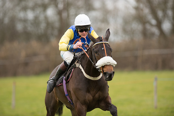 Race 5 - Open Maiden (37 of 38).jpg
