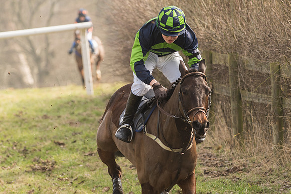 Pony Race 2 -  (19 of 32).jpg