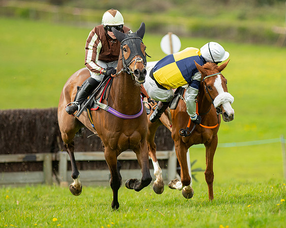 Race 5 - Open Maiden  (49 of 89)
