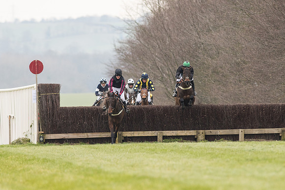 Race 2 - PPORA Novice riders  (129 of 186).jpg