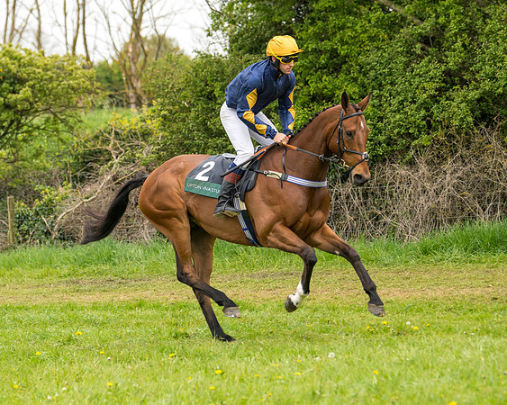 Race 7 - Open Maiden  (25 of 106)