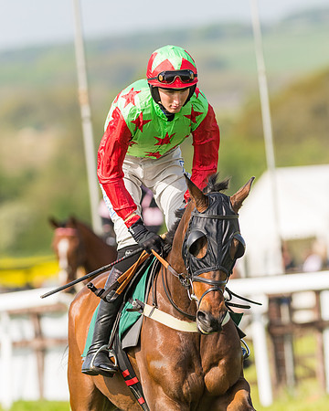 Race 5 - Restricted  (10 of 164)