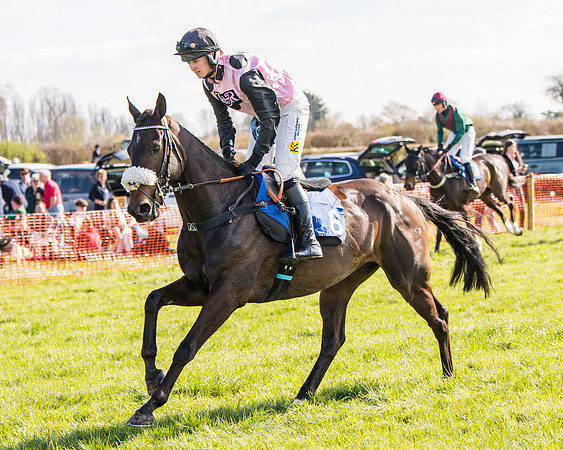 Race 5 - The Waverton Investment Management Ltd Restricted Race farmers and subscribers Race  (10 of 161)