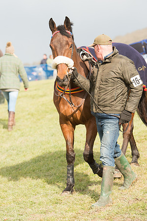 Race 2 - Open Maiden (17 of 161).jpg