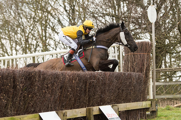 Race 2 - PPORA Novice riders  (158 of 186).jpg