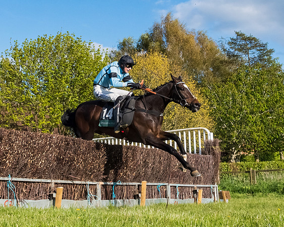 Race 7 - Maiden  (77 of 113)