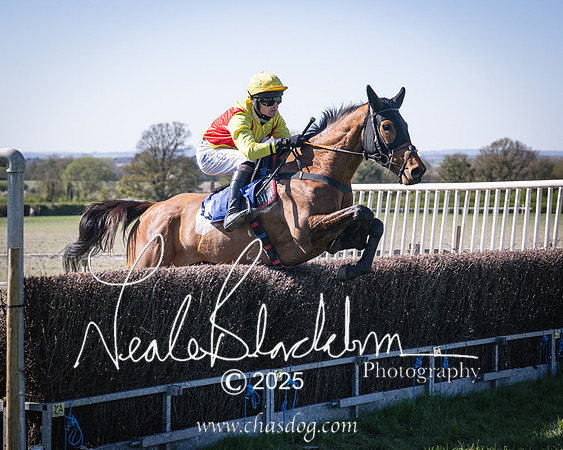 Race 5 - The restricted (67 of 113)