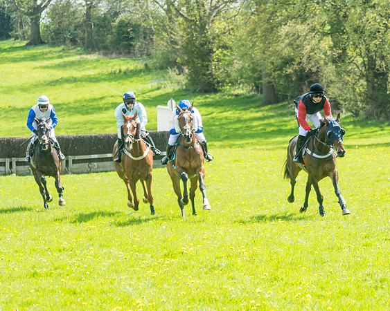 Race 2 - Veteran Horse  (31 of 82)