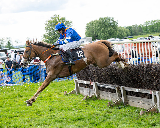 Race 5  - Maiden  (45 of 84)