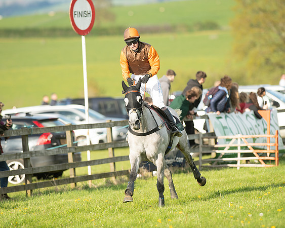 Race 7 - Maiden  (90 of 113)