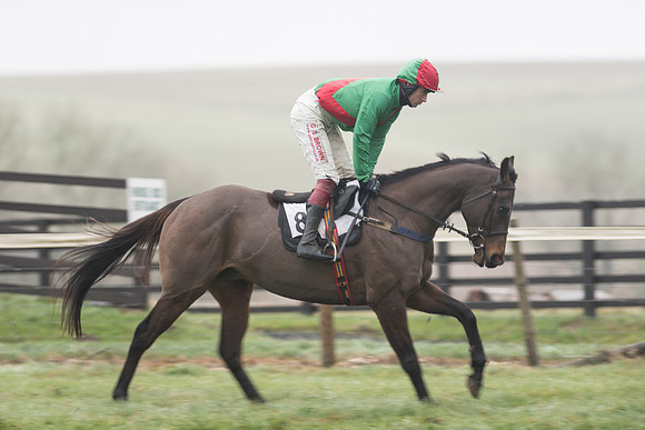 Race 5 - The Intermediate (21 of 59).jpg
