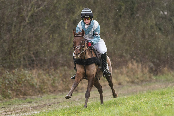 Pony Race 1 -  (19 of 20).jpg