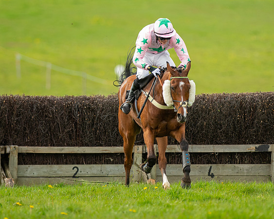 Race 5 - Open Maiden  (68 of 89)