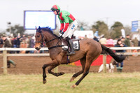 Race 7 - Yoiung Horse Maiden Race (5 of 101).jpg