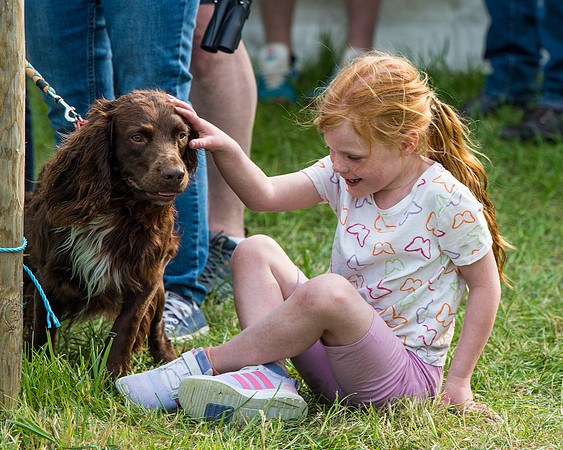 Ava and Merlin (8 of 17)