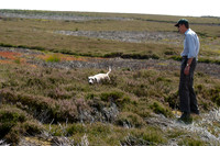 WCGB-27JUL-2013 Grouse Test Day  17