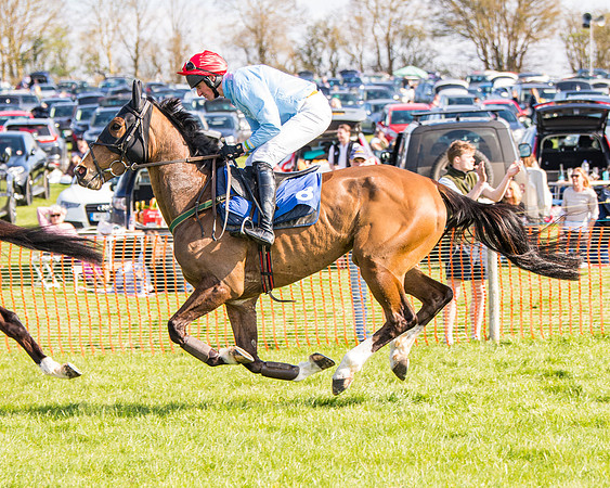 Race 5 - The Waverton Investment Management Ltd Restricted Race farmers and subscribers Race  (17 of 161)