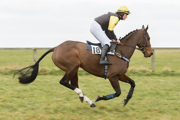 Race 2 - PPORA Novice riders  (31 of 186).jpg